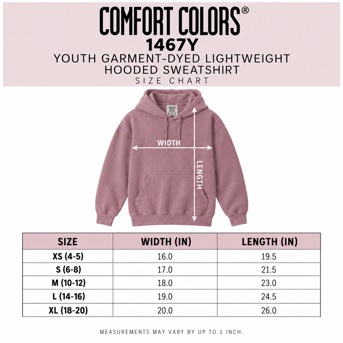 Script Logo Comfort Colors Kids Hoodie